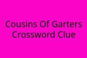 Cousins Of Garters Crossword Clue Cousins Of Garters Crossword Clue