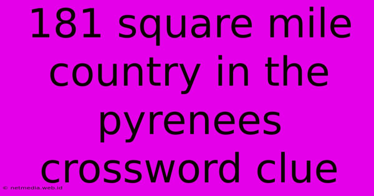 181 Square Mile Country In The Pyrenees Crossword Clue