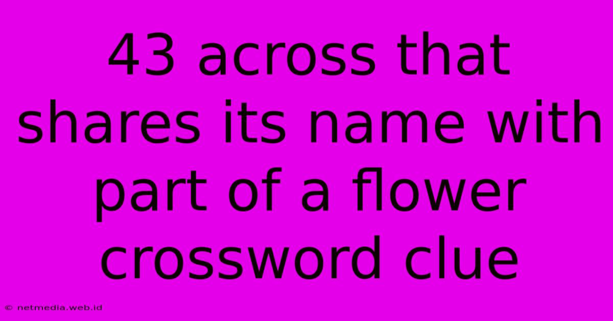 43 Across That Shares Its Name With Part Of A Flower Crossword Clue