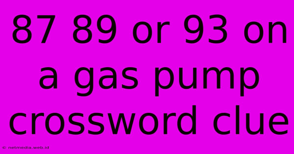 87 89 Or 93 On A Gas Pump Crossword Clue