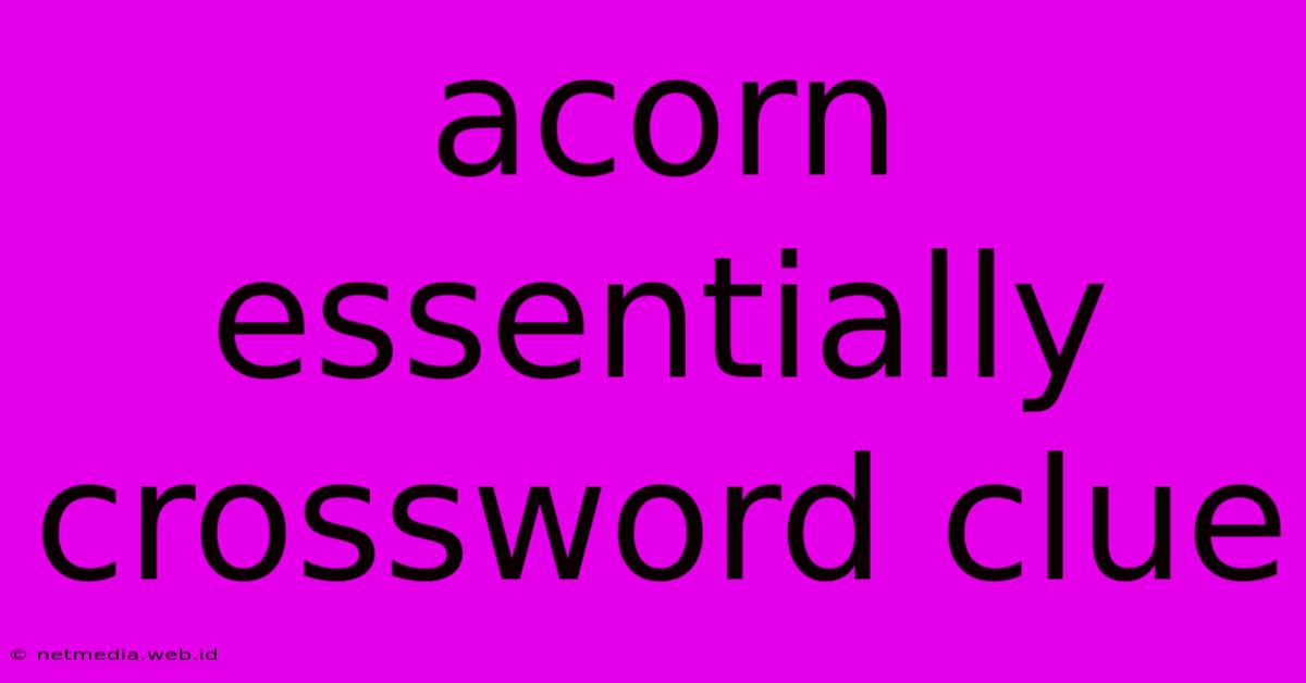 Acorn Essentially Crossword Clue