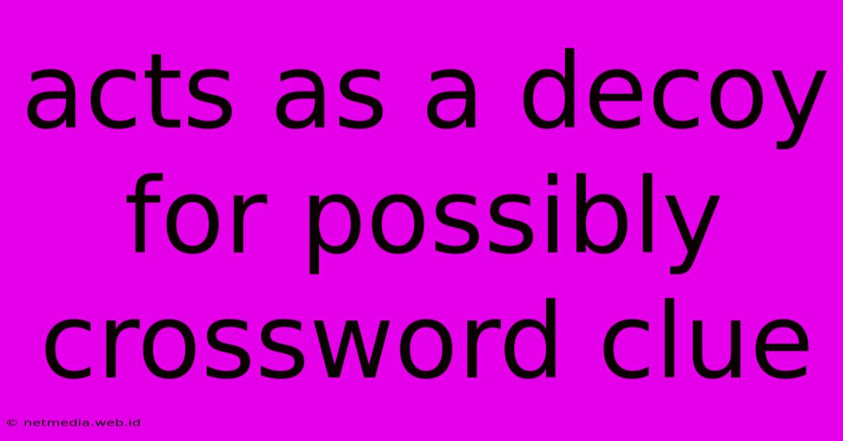 Acts As A Decoy For Possibly Crossword Clue