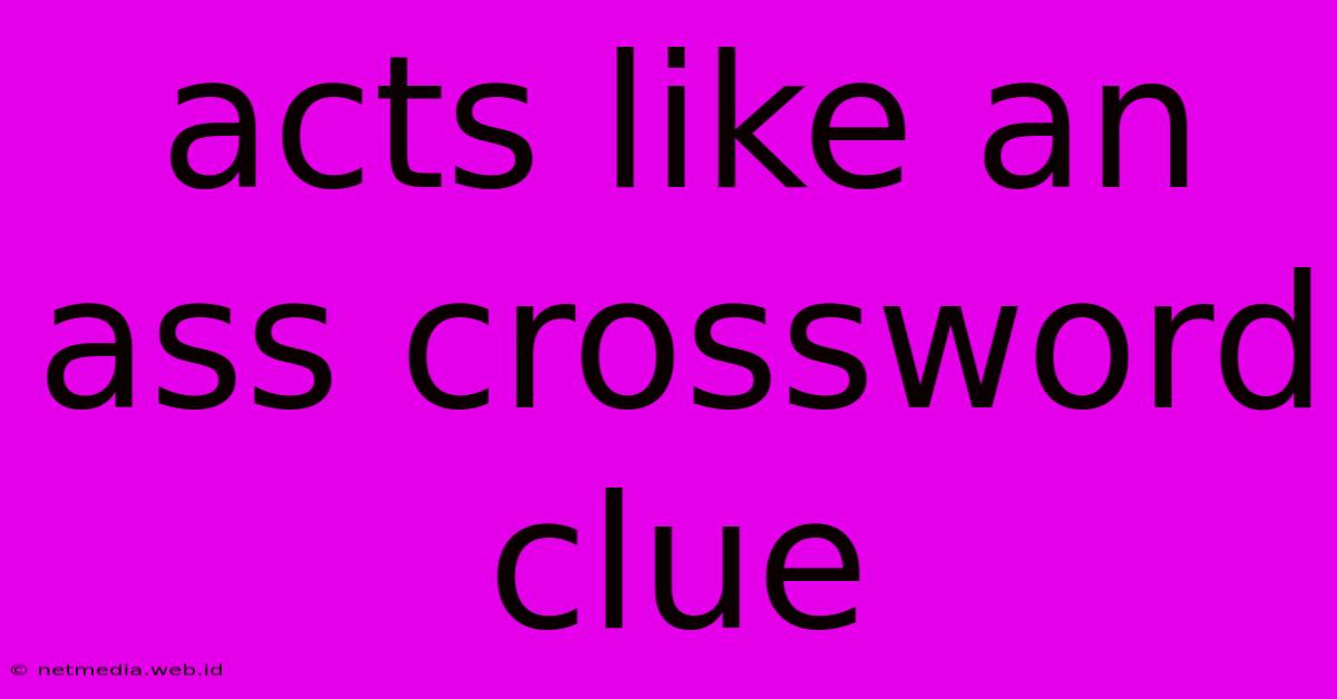 Acts Like An Ass Crossword Clue