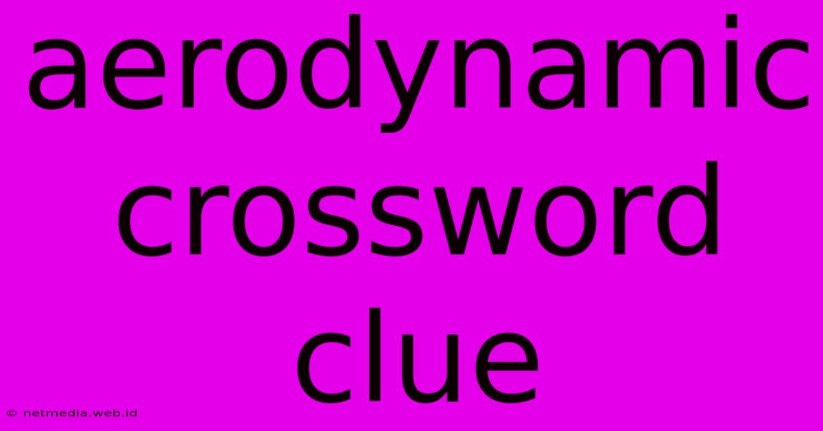 Aerodynamic Crossword Clue