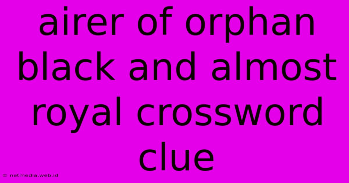 Airer Of Orphan Black And Almost Royal Crossword Clue