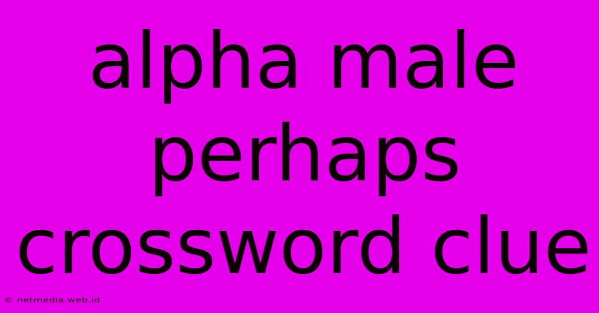 Alpha Male Perhaps Crossword Clue