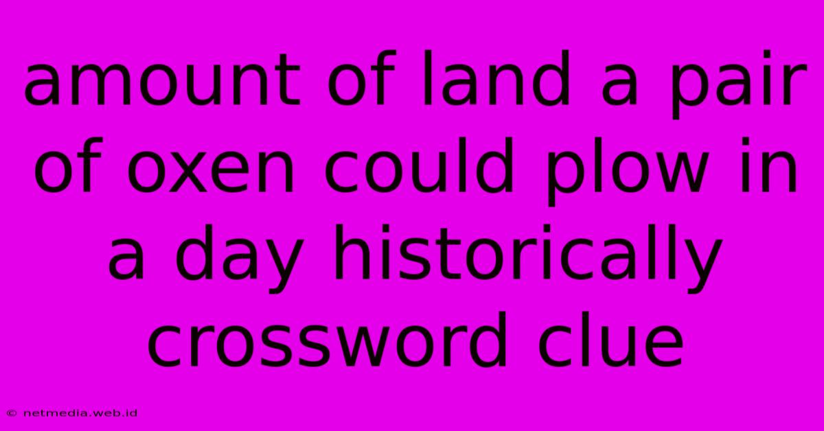 Amount Of Land A Pair Of Oxen Could Plow In A Day Historically Crossword Clue