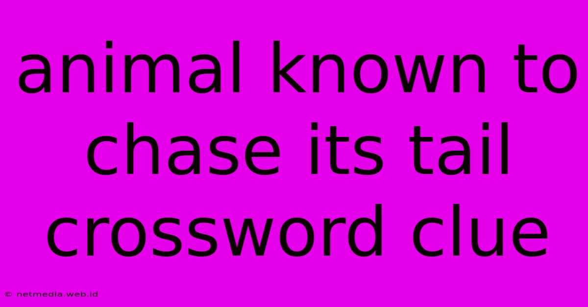 Animal Known To Chase Its Tail Crossword Clue