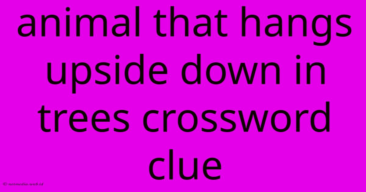 Animal That Hangs Upside Down In Trees Crossword Clue Animal That Hangs Upside Down In Trees Crossword Clue