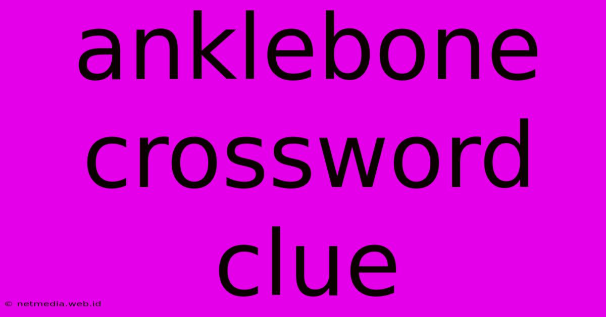 Anklebone Crossword Clue