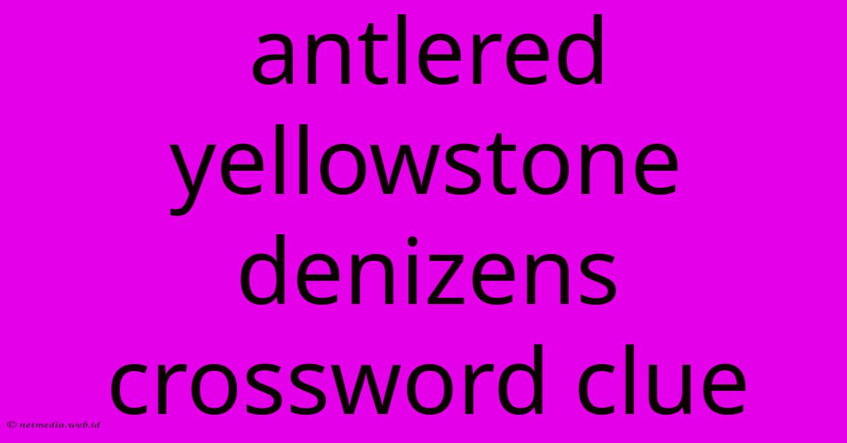 Antlered Yellowstone Denizens Crossword Clue