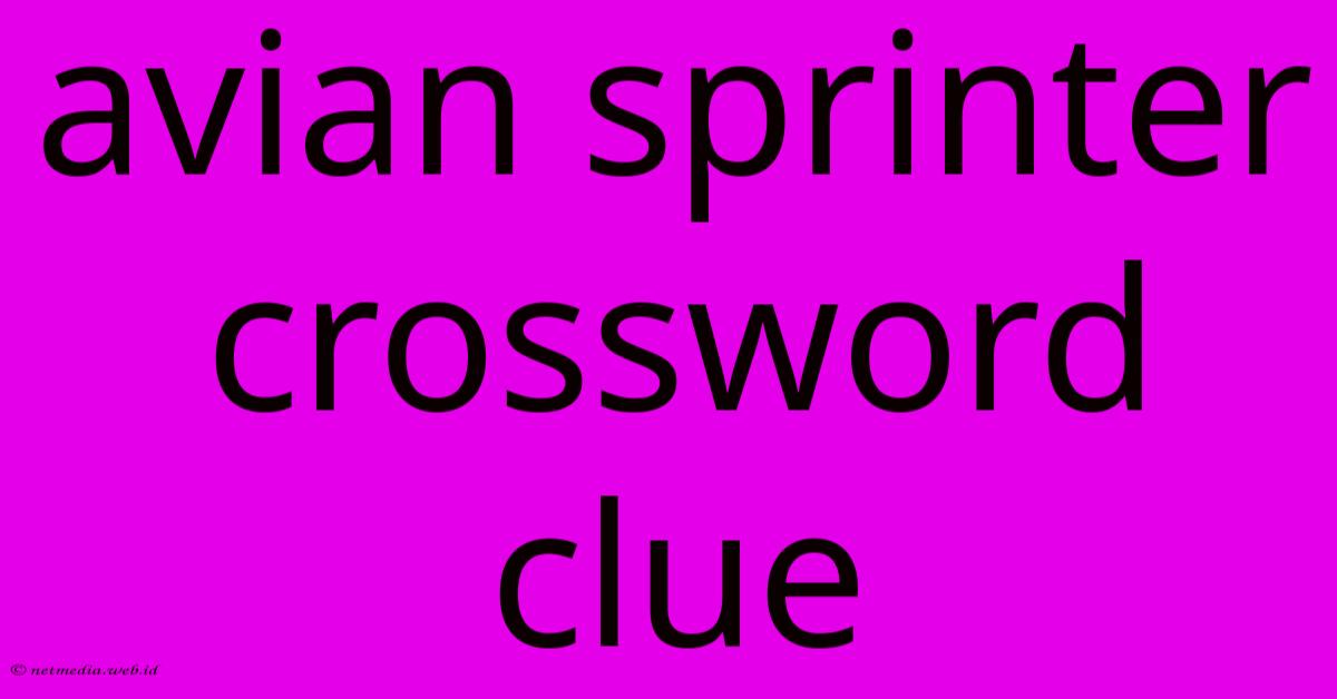 Avian Sprinter Crossword Clue Avian Sprinter Crossword Clue