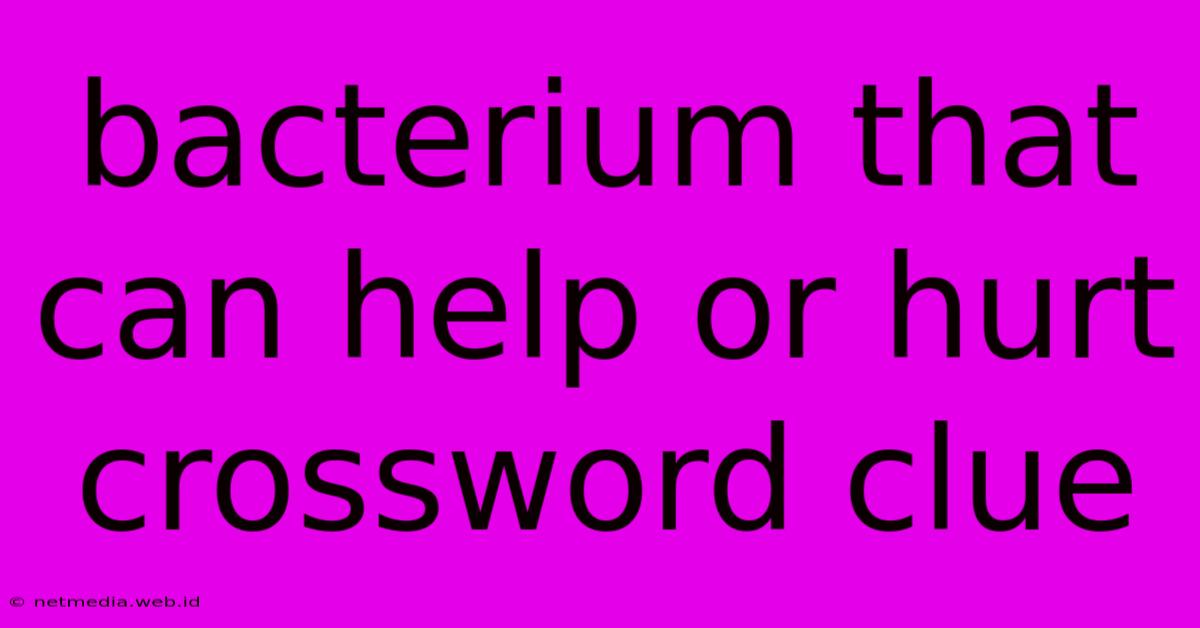 Bacterium That Can Help Or Hurt Crossword Clue