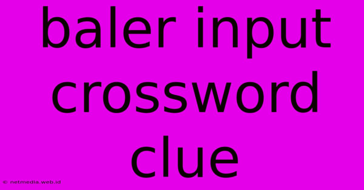 Baler Input Crossword Clue