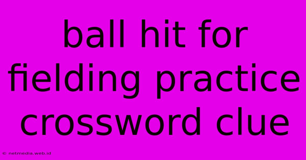 Ball Hit For Fielding Practice Crossword Clue