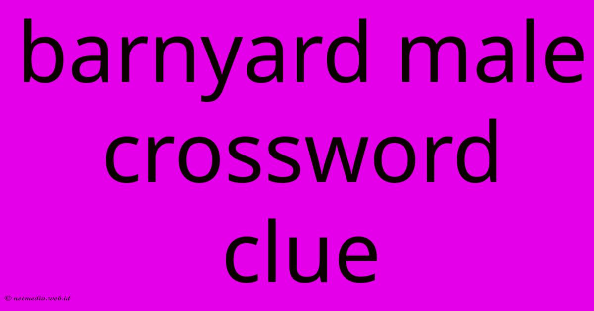 Barnyard Male Crossword Clue Barnyard Male Crossword Clue