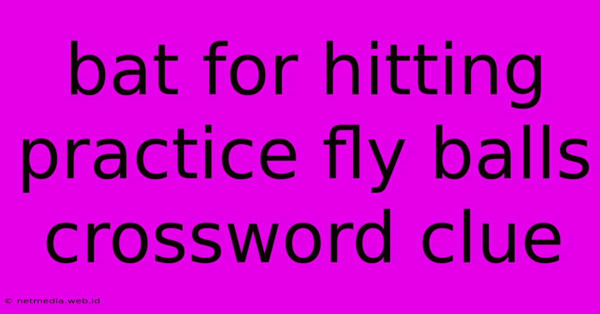 Bat For Hitting Practice Fly Balls Crossword Clue