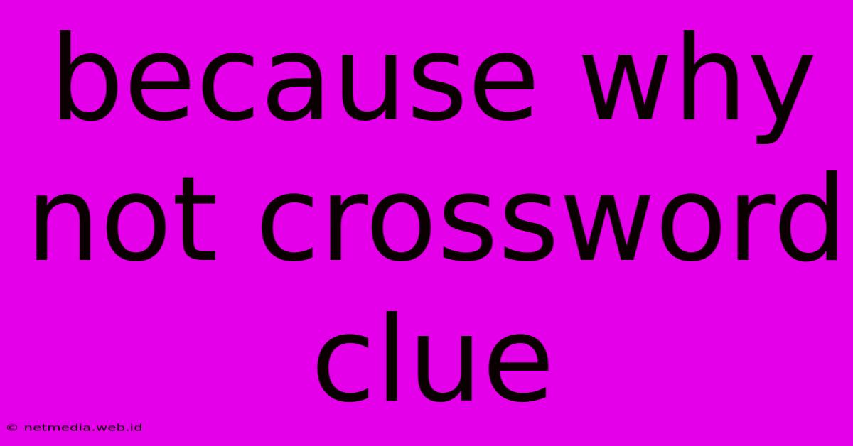 Because Why Not Crossword Clue