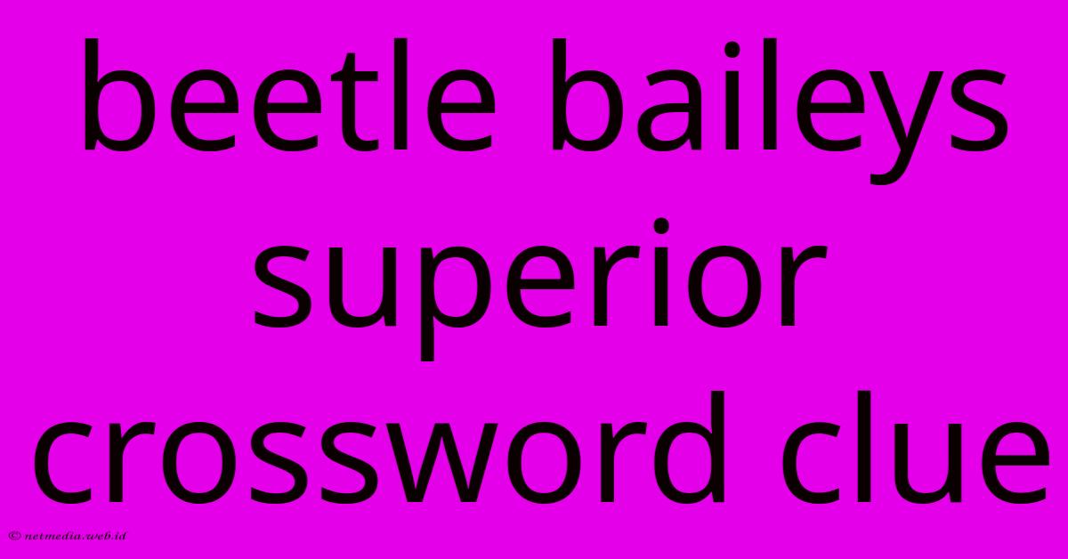 Beetle Baileys Superior Crossword Clue Beetle Baileys Superior Crossword Clue