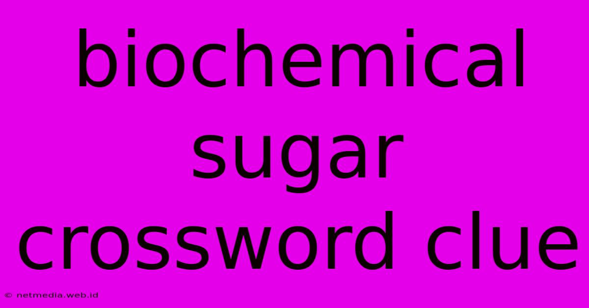 Biochemical Sugar Crossword Clue