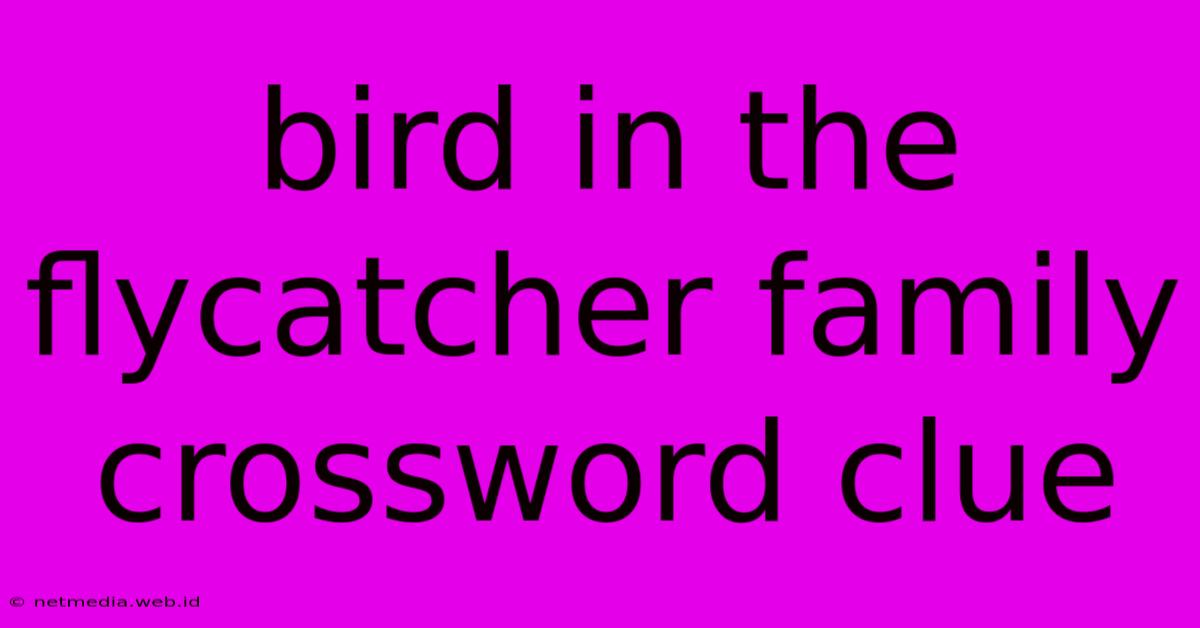 Bird In The Flycatcher Family Crossword Clue