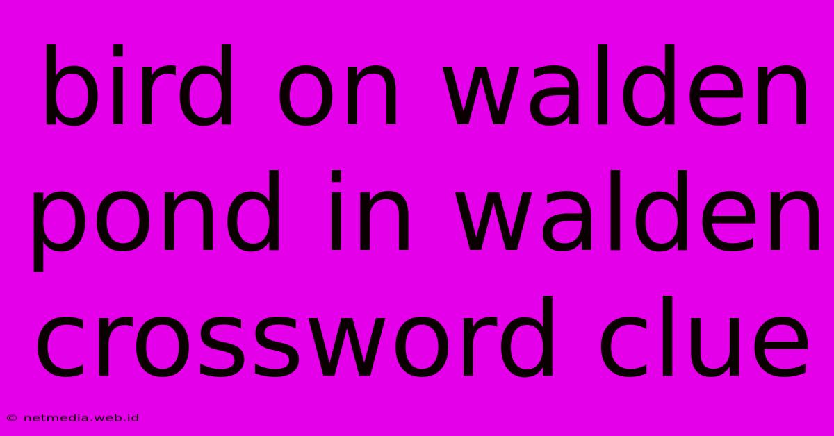 Bird On Walden Pond In Walden Crossword Clue