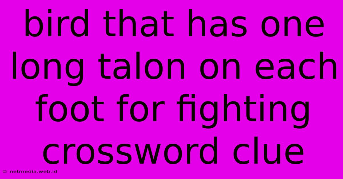 Bird That Has One Long Talon On Each Foot For Fighting Crossword Clue