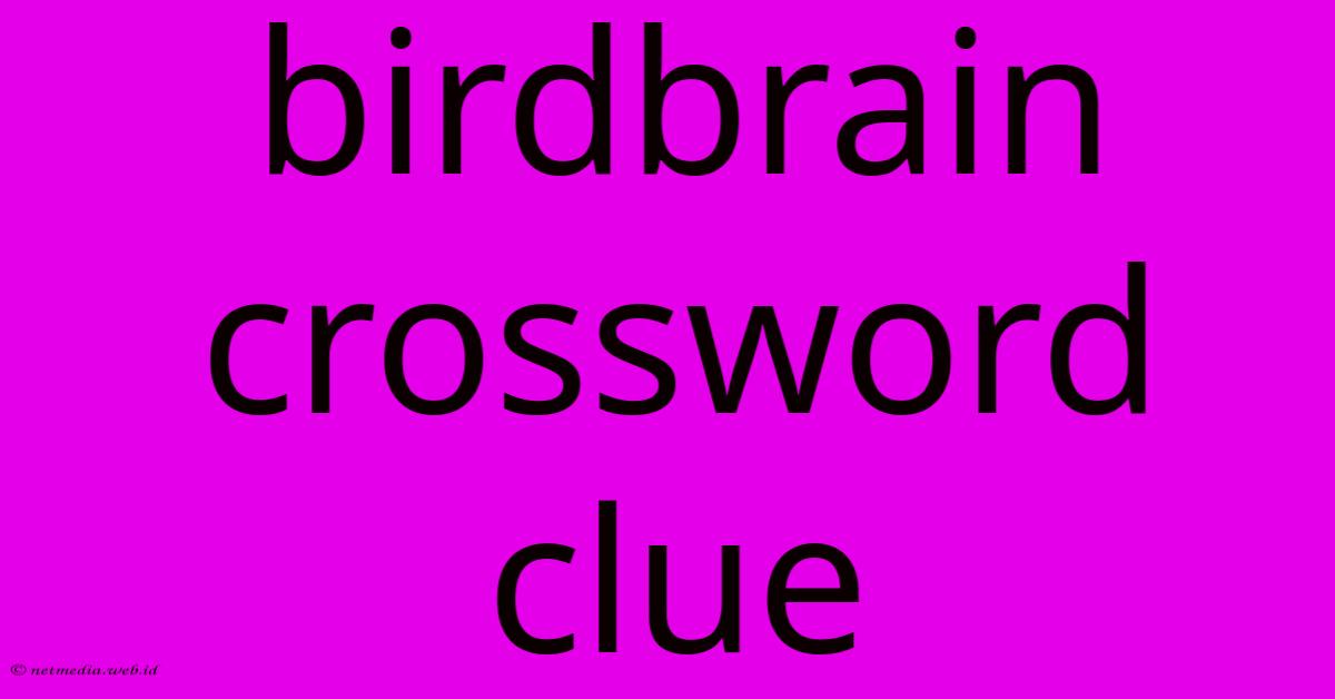 Birdbrain Crossword Clue