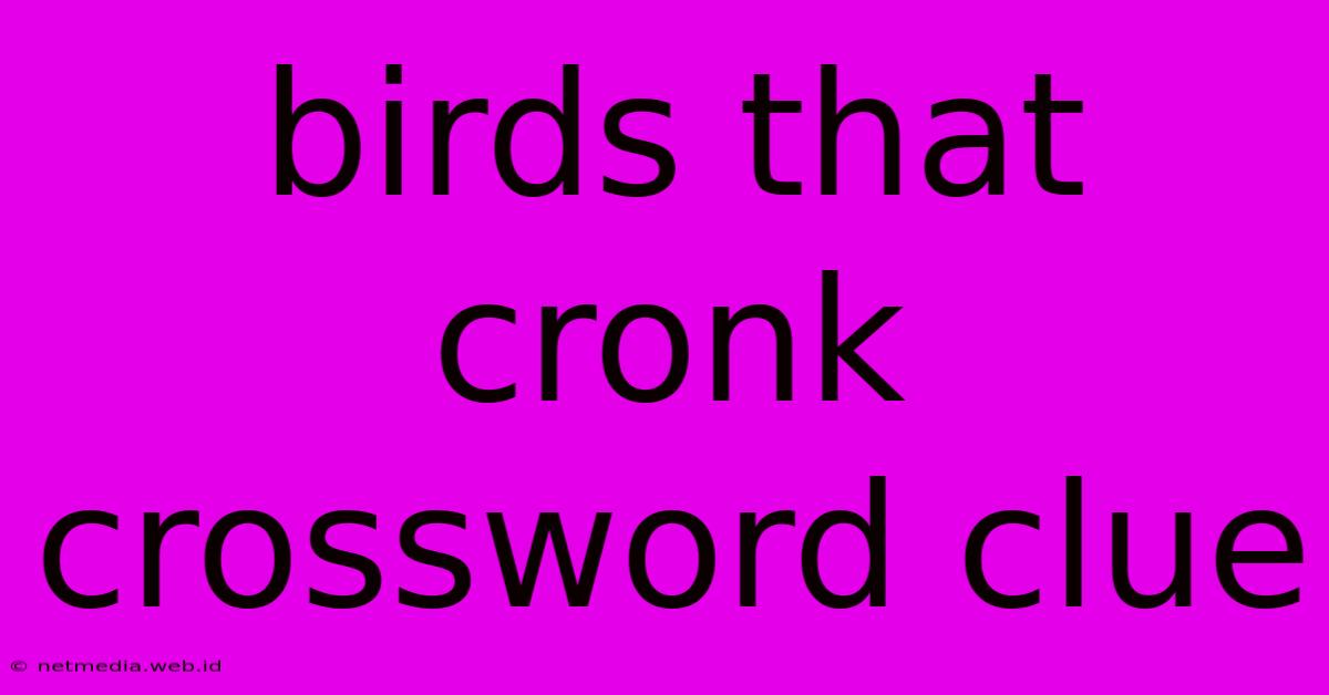 Birds That Cronk Crossword Clue