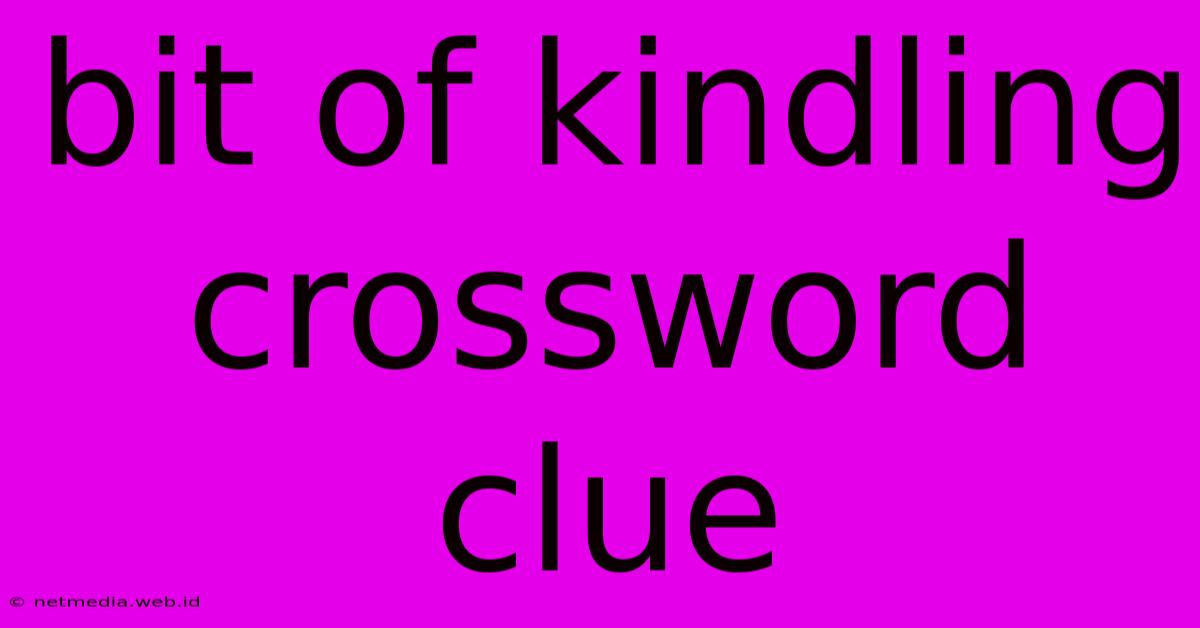 Bit Of Kindling Crossword Clue