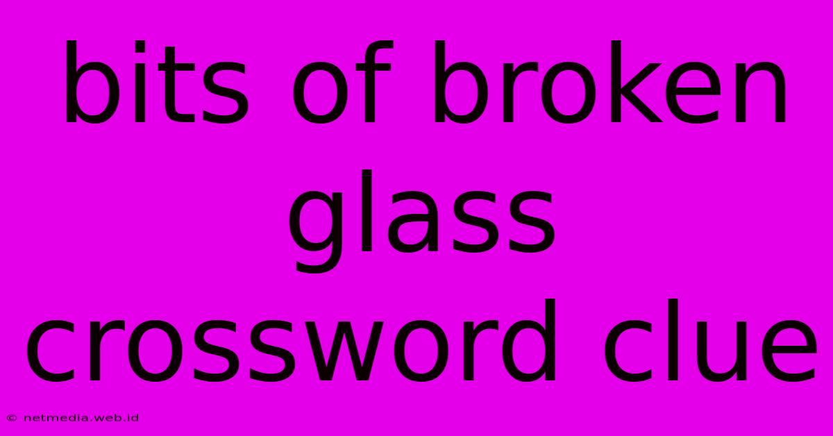 Bits Of Broken Glass Crossword Clue