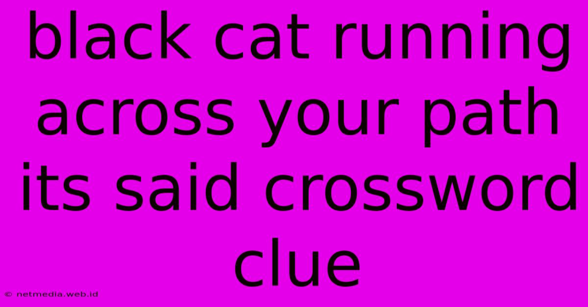 Black Cat Running Across Your Path Its Said Crossword Clue