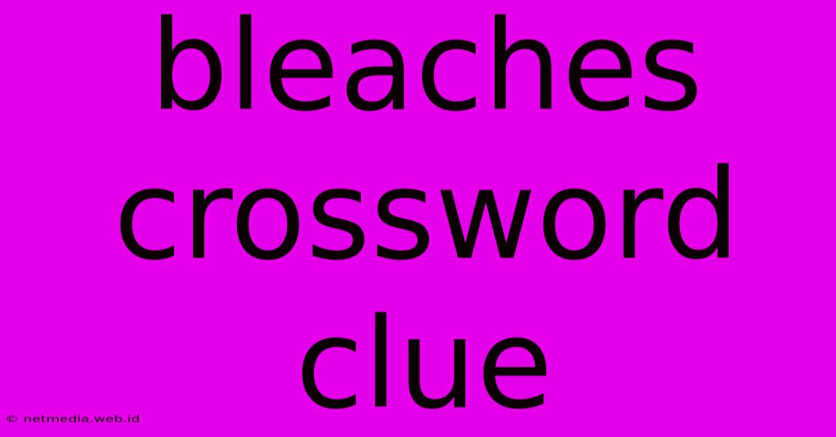 Bleaches Crossword Clue