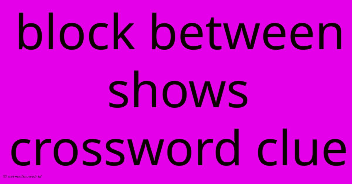 Block Between Shows Crossword Clue