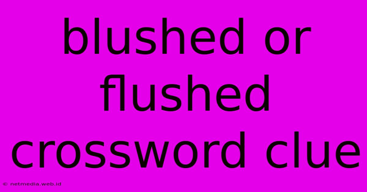 Blushed Or Flushed Crossword Clue