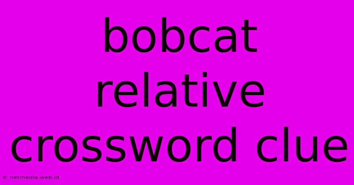 Bobcat Relative Crossword Clue