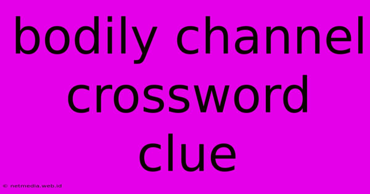 Bodily Channel Crossword Clue