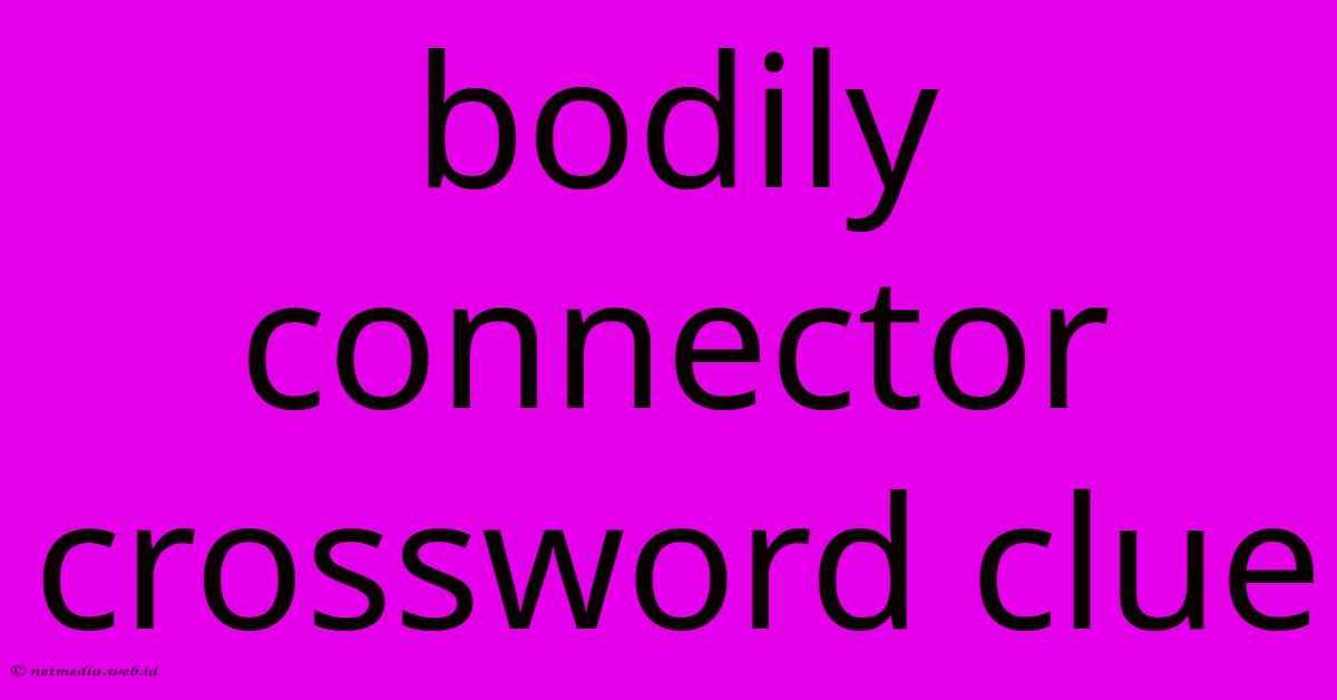 Bodily Connector Crossword Clue Bodily Connector Crossword Clue