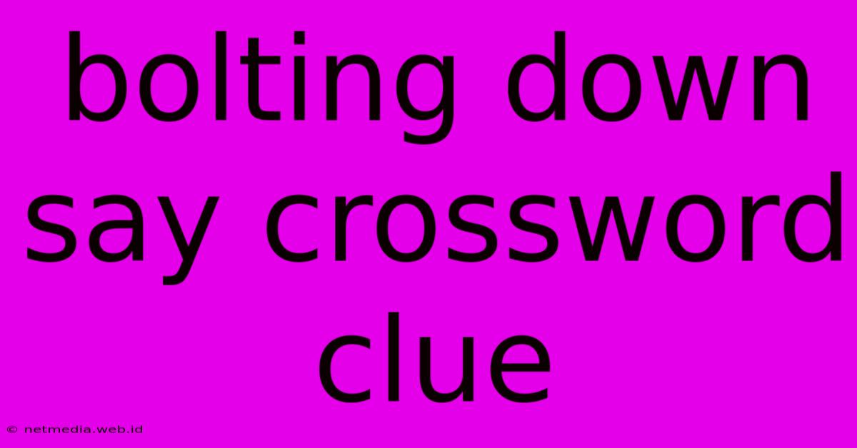 Bolting Down Say Crossword Clue