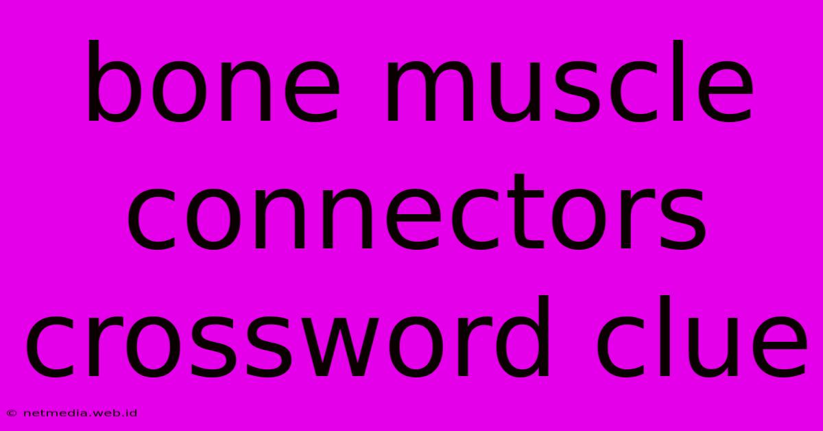 Bone Muscle Connectors Crossword Clue