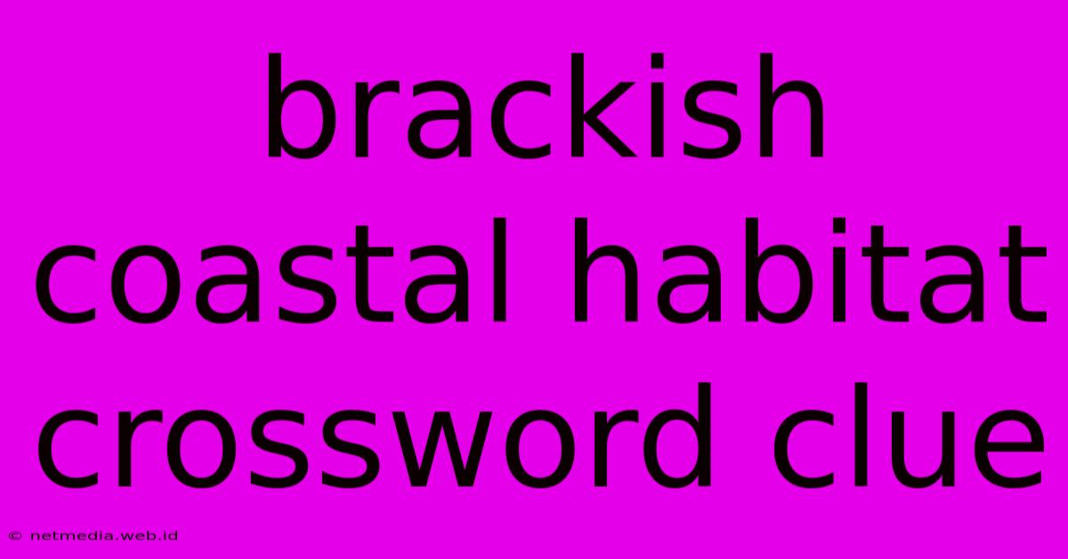 Brackish Coastal Habitat Crossword Clue