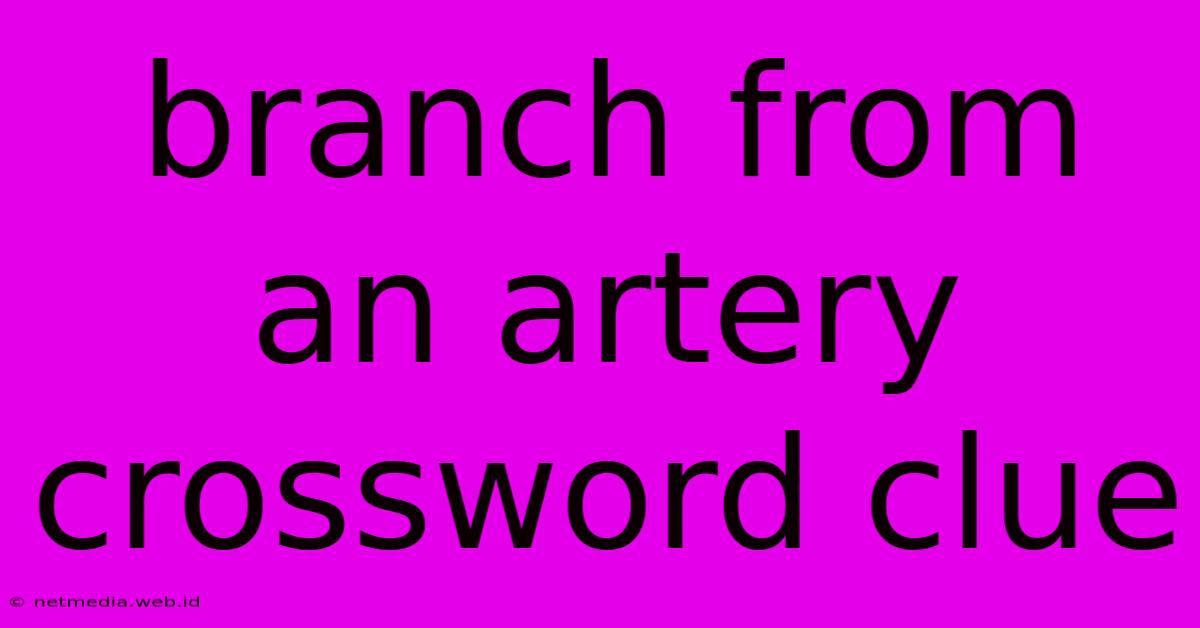 Branch From An Artery Crossword Clue