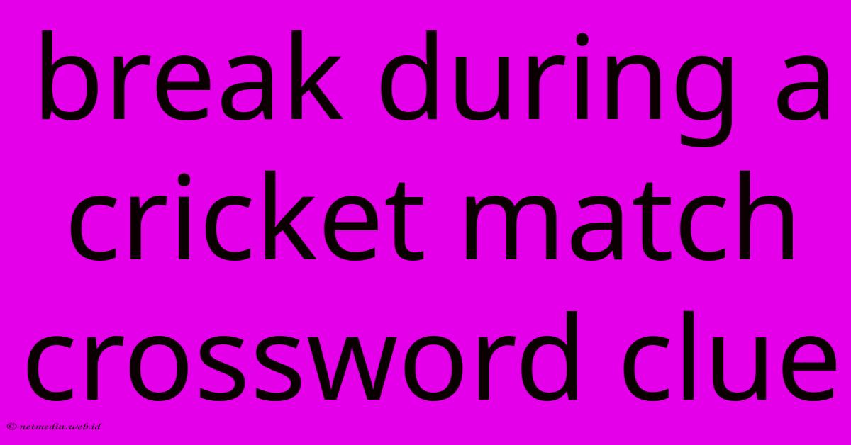Break During A Cricket Match Crossword Clue