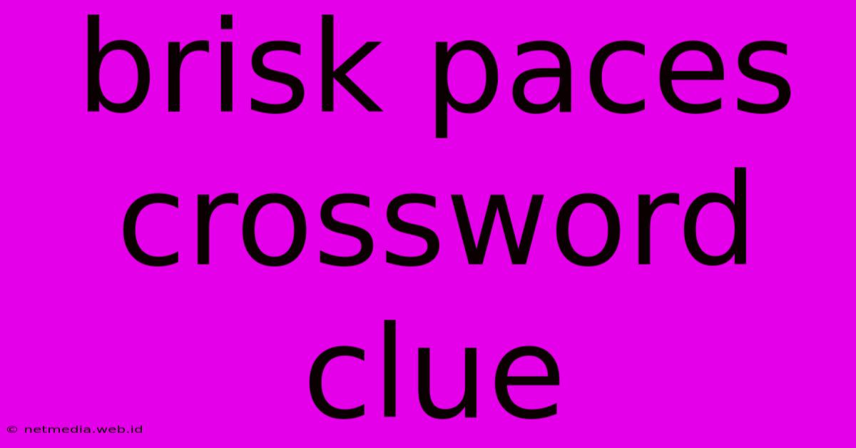 Brisk Paces Crossword Clue