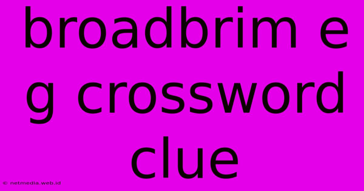 Broadbrim E G Crossword Clue