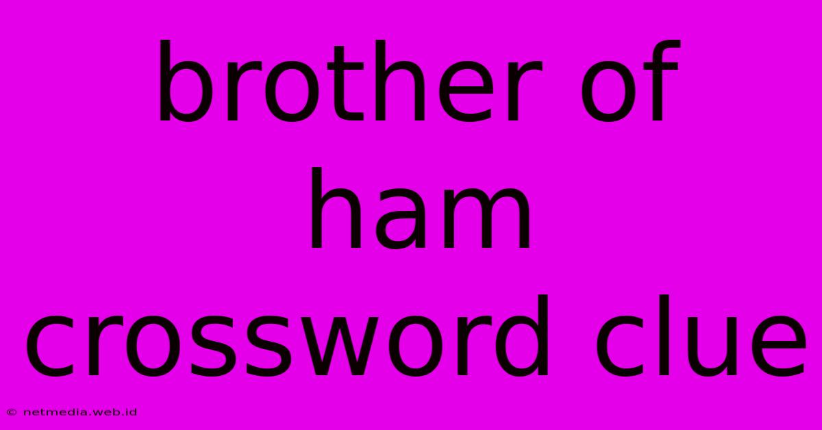 Brother Of Ham Crossword Clue