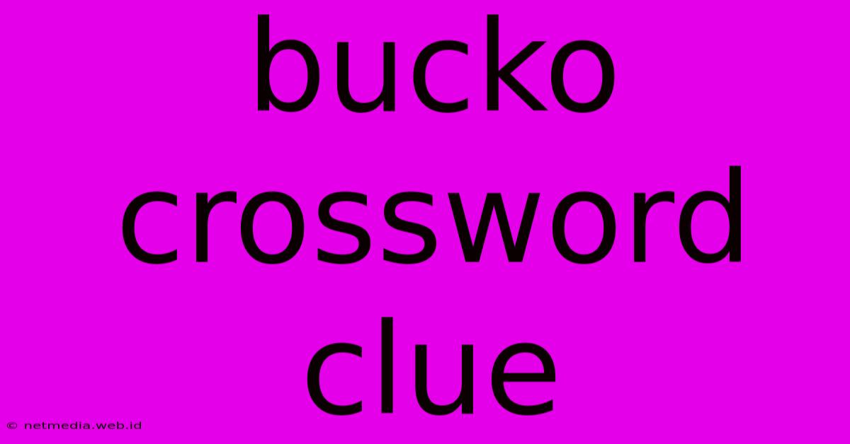 Bucko Crossword Clue