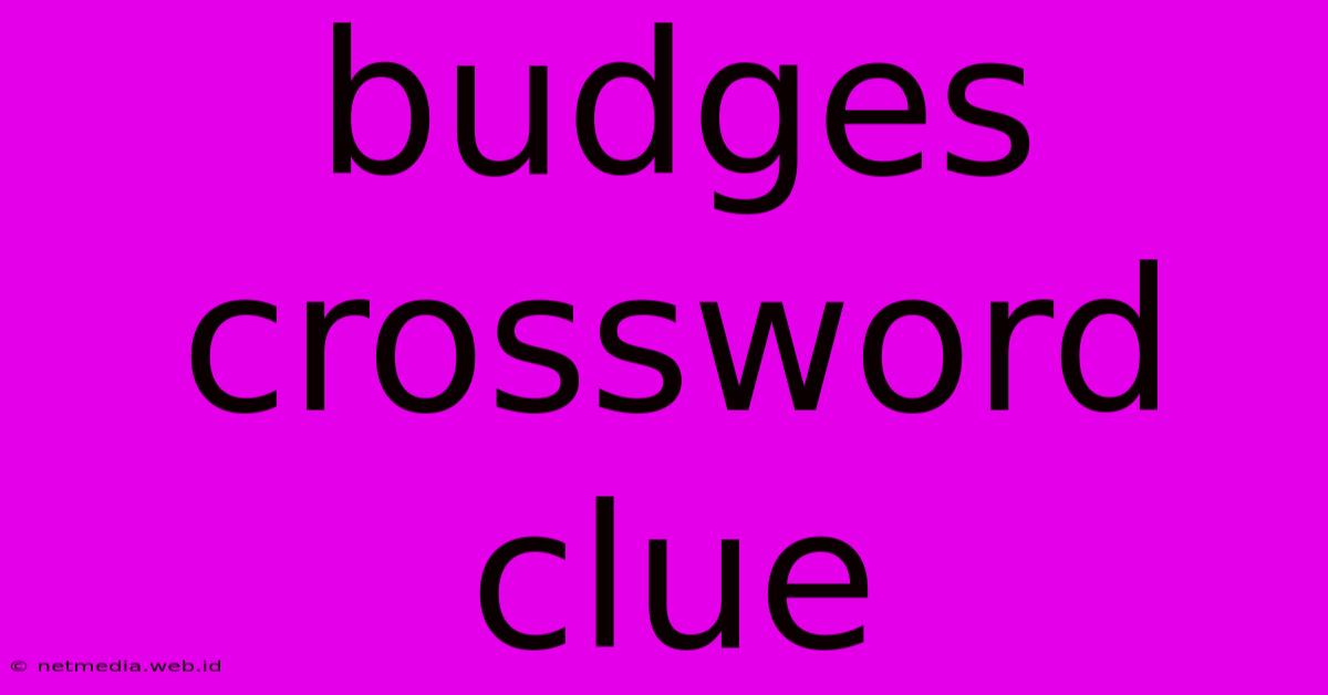 Budges Crossword Clue