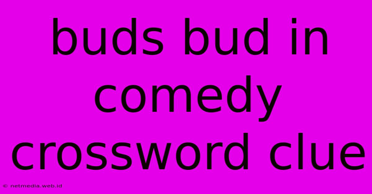 Buds Bud In Comedy Crossword Clue