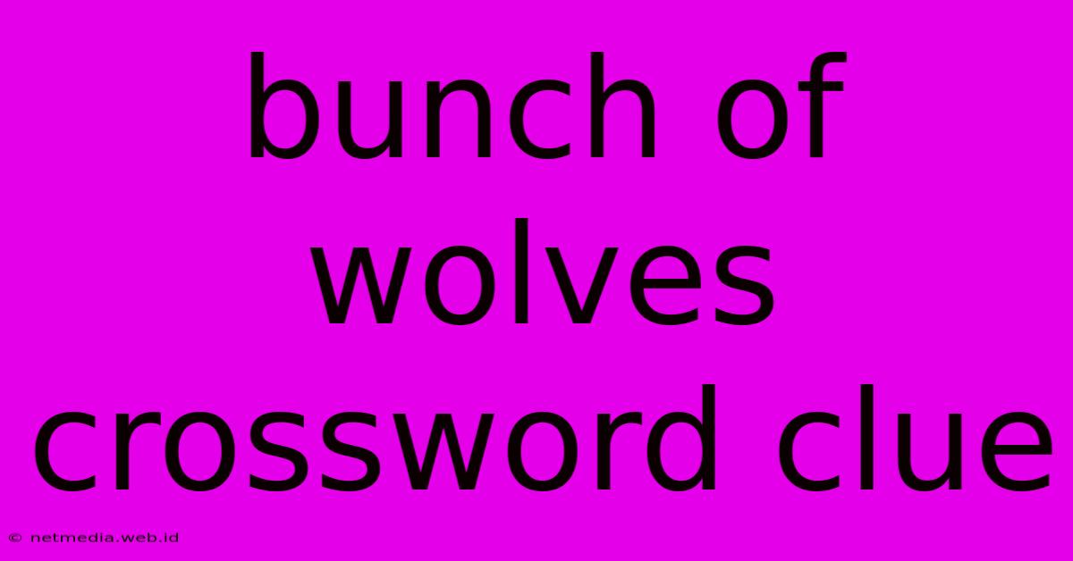 Bunch Of Wolves Crossword Clue